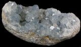 Celestine (Celestite) Crystal Cluster - Icy Blue Crystals #37095-2